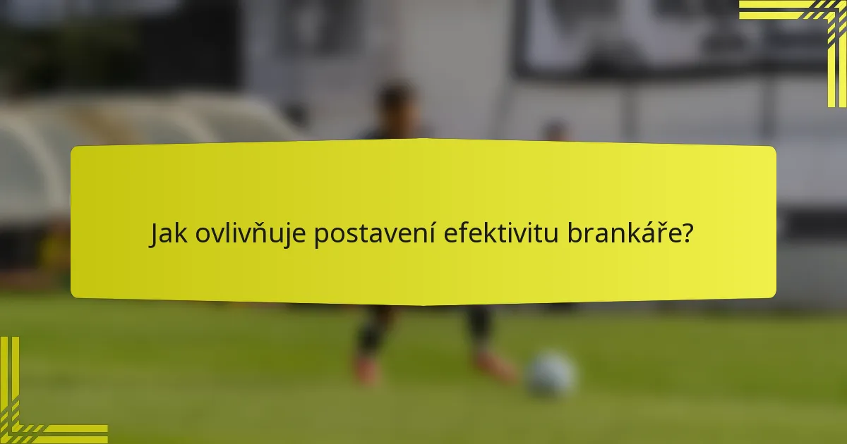 Jak ovlivňuje postavení efektivitu brankáře?